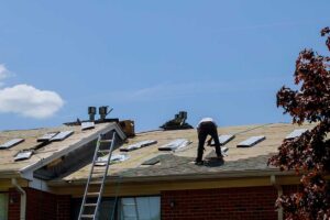 Person using a low-pressure sprayer to clean dark algae from asphalt roof shingles near a ladder.