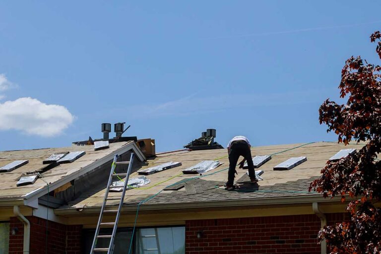 Person using a low-pressure sprayer to clean dark algae from asphalt roof shingles near a ladder.