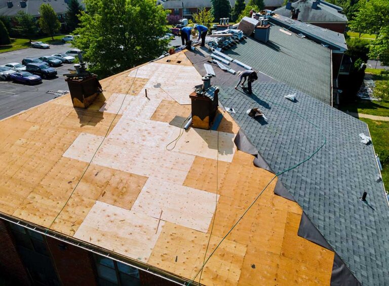 A homeowner examines dark roof growth with binoculars while standing safely in a yard beneath shaded shingles.